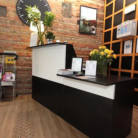 菈沙特勒斯酒店 圖盧茲