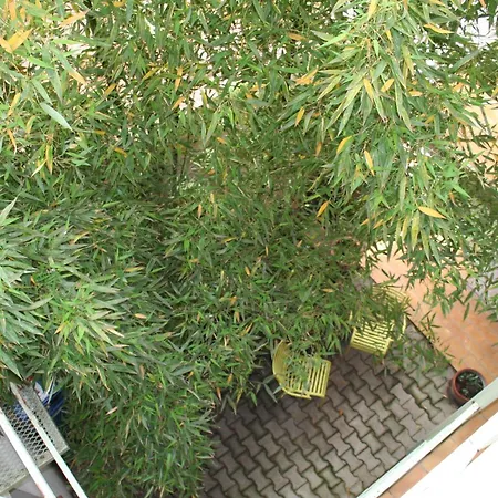 La Chartreuse Hotel 2*